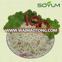 zero fat slimming noodle konjac udon